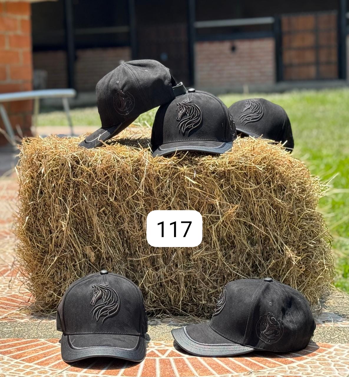 Miniatura 2 de Gorras Equinas Coleccion 31-03